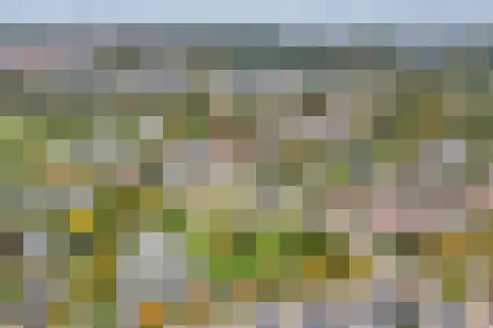 Houtingkolk 30 Zwolle thumbnail 42