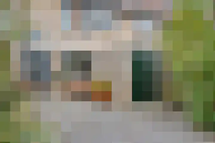 Houtingkolk 30 Zwolle thumbnail 5