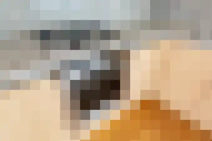 Houtkade 41 Den Haag thumbnail 15