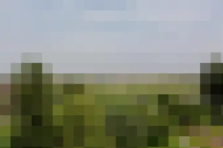 Houtkade 41 Den Haag thumbnail 19