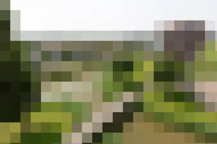 Houtkade 41 Den Haag thumbnail 36