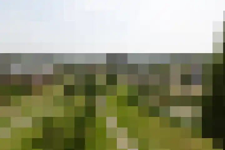 Houtkade 41 Den Haag thumbnail 37