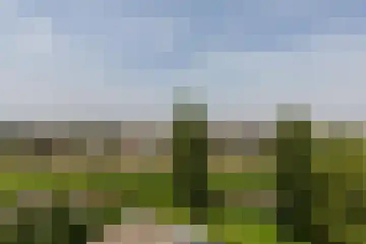 Houtkade 41 Den Haag thumbnail 39
