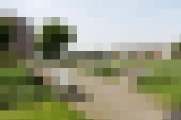 Houtkade 41 Den Haag thumbnail 40
