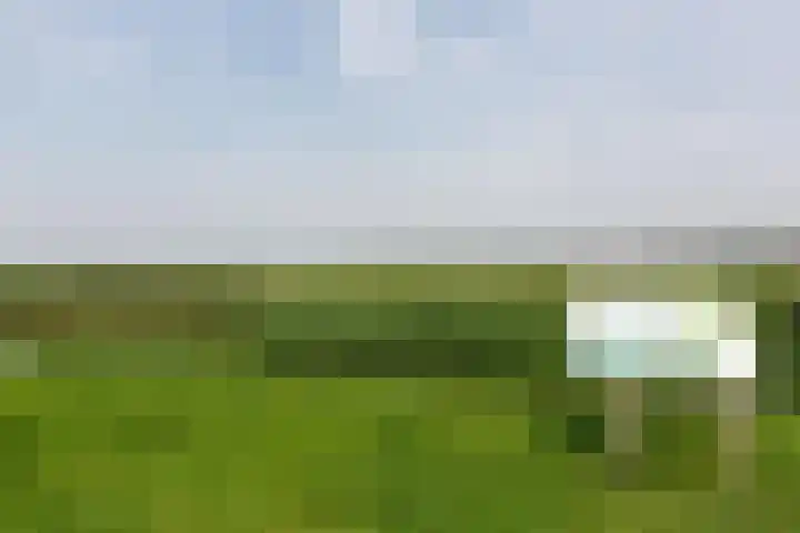 Houtkade 41 Den Haag thumbnail 43