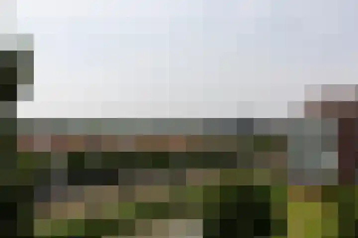 Houtkade 41 Den Haag thumbnail 45