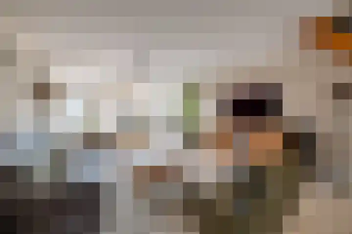 Houtkoper 9 Landsmeer thumbnail 12
