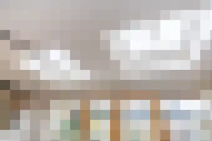 Houtkoper 9 Landsmeer thumbnail 17