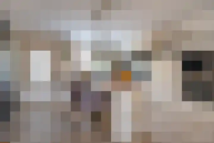 Houtkoper 9 Landsmeer thumbnail 19