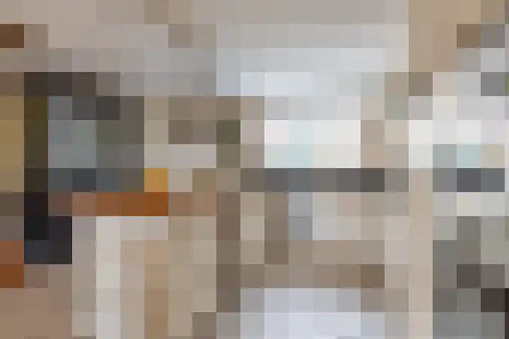Houtkoper 9 Landsmeer thumbnail 20