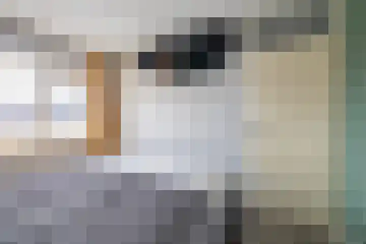 Houtkoper 9 Landsmeer thumbnail 25