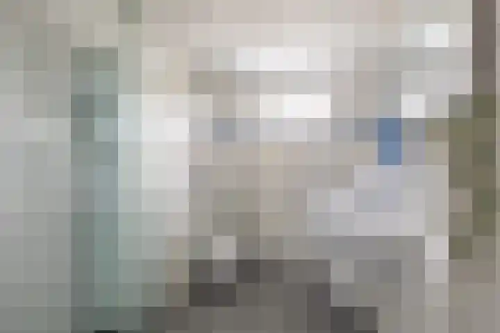 Houtkoper 9 Landsmeer thumbnail 31