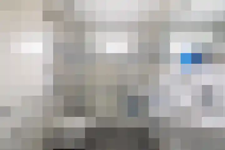 Houtkoper 9 Landsmeer thumbnail 32