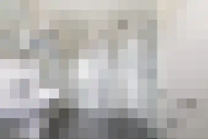 Houtkoper 9 Landsmeer thumbnail 33