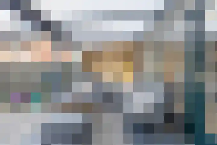 Houtkoper 9 Landsmeer thumbnail 40