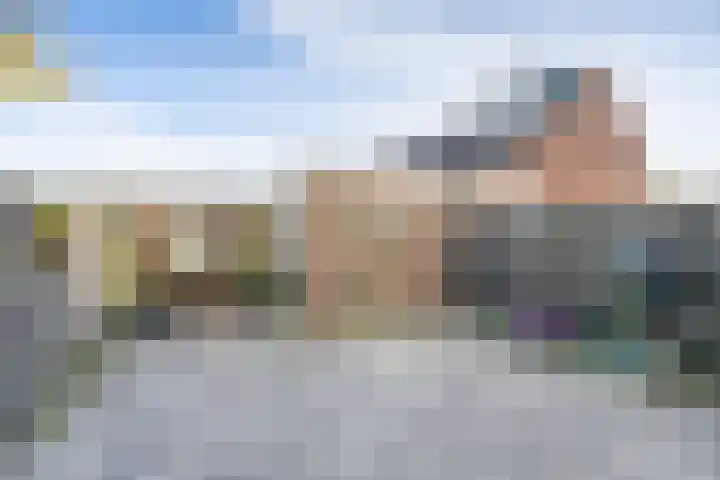 Houtkoper 9 Landsmeer thumbnail 44