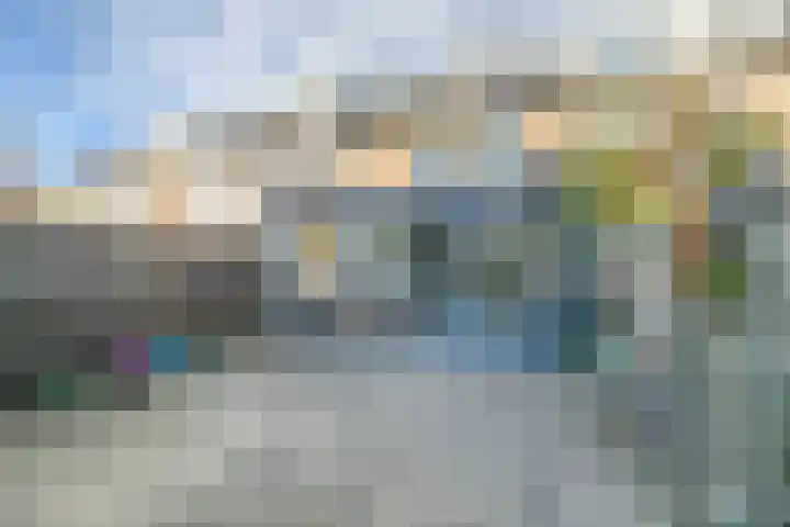 Houtkoper 9 Landsmeer thumbnail 45