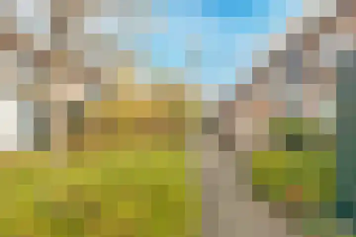 Houtkoper 9 Landsmeer thumbnail 46
