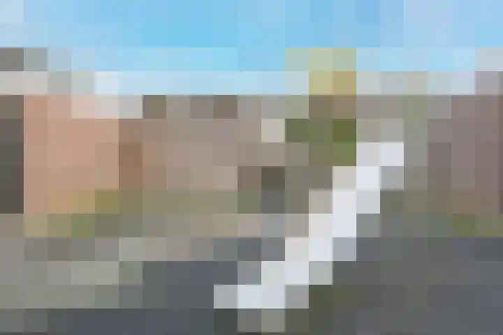 Houtkoper 9 Landsmeer thumbnail 48