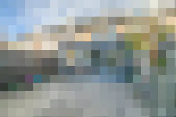 Houtkoper 9 Landsmeer thumbnail 5