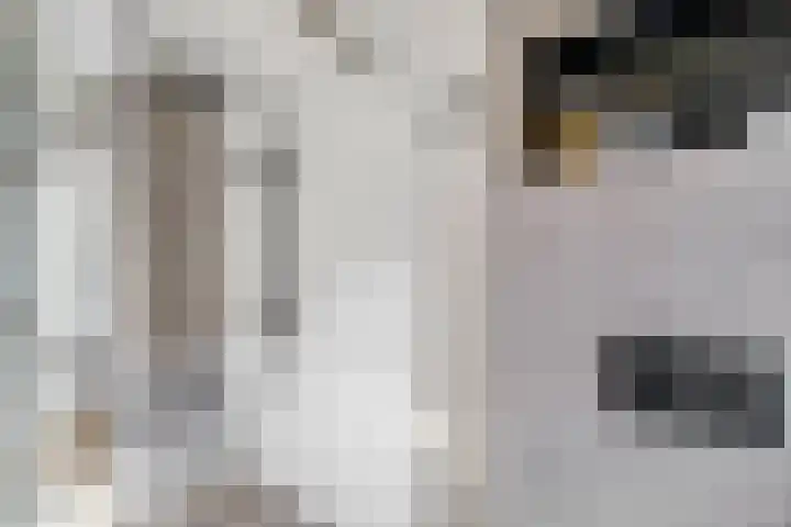 Houtkoperstraat 12 Brielle thumbnail 27
