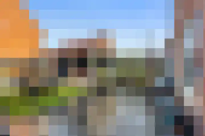 Houtkoperstraat 12 Brielle thumbnail 32