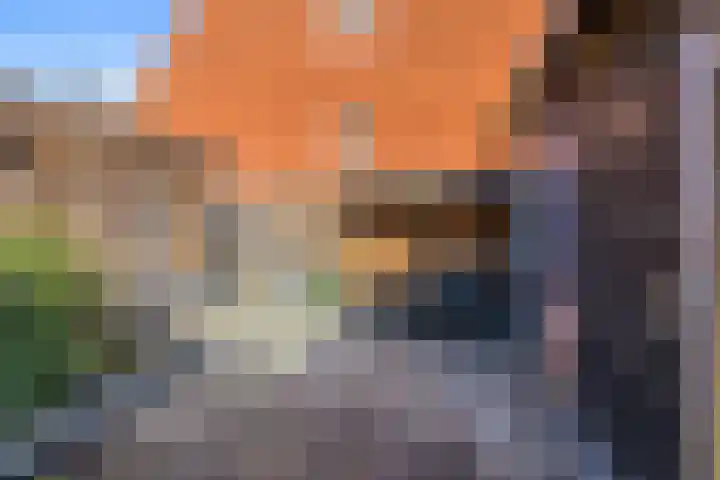 Houtkoperstraat 12 Brielle thumbnail 36