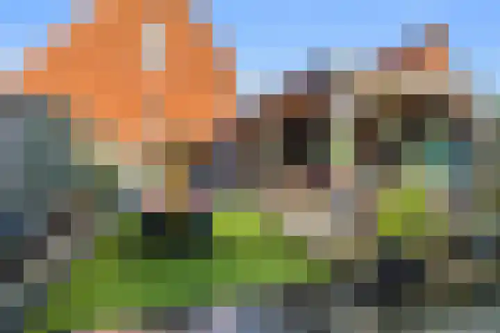 Houtkoperstraat 12 Brielle thumbnail 5