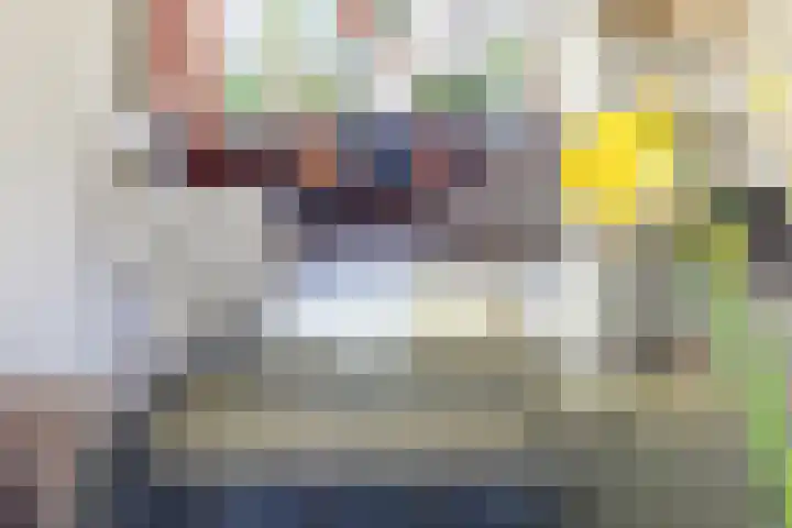 Houtlaan 17 Leiden thumbnail 13