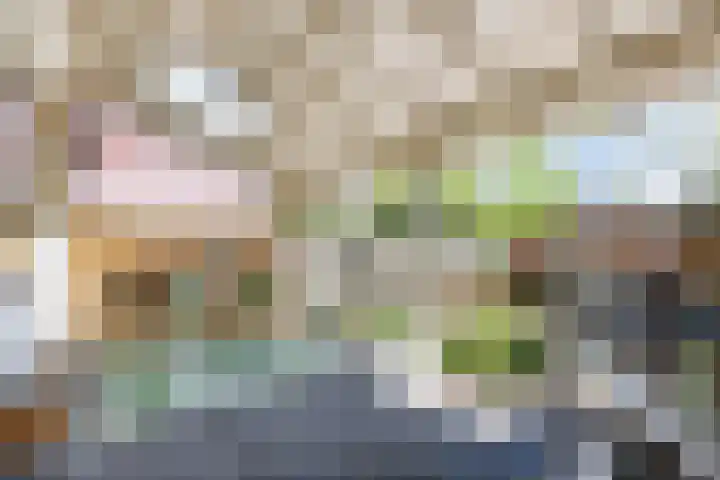 Houtlaan 17 Leiden thumbnail 14