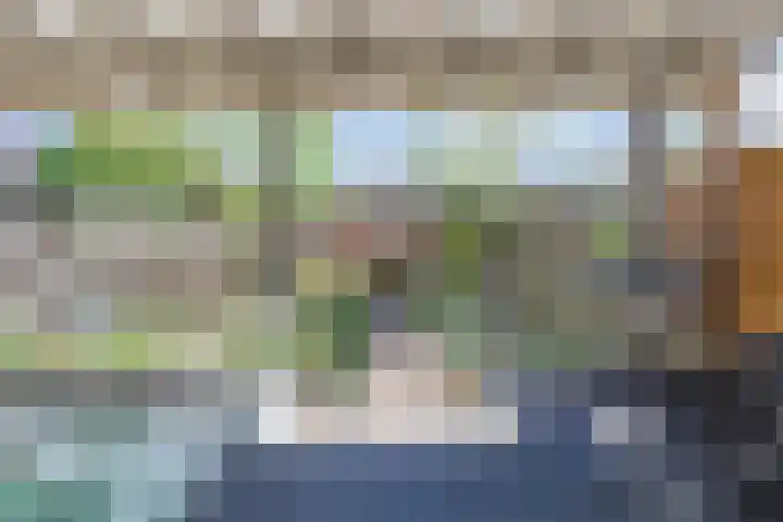 Houtlaan 17 Leiden thumbnail 17