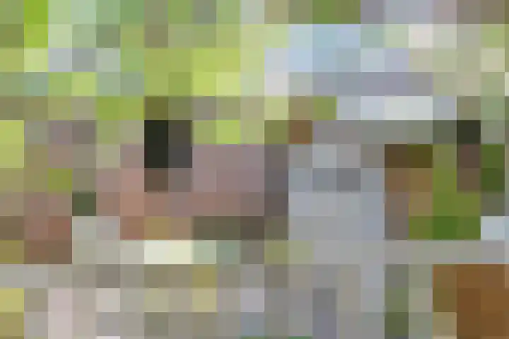 Houtlaan 17 Leiden thumbnail 18