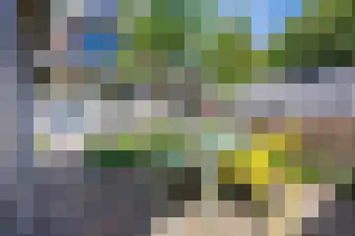 Houtlaan 17 Leiden thumbnail 19
