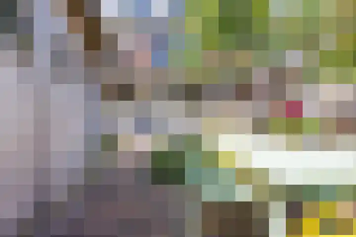 Houtlaan 17 Leiden thumbnail 21