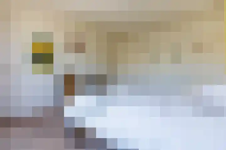 Houtlaan 17 Leiden thumbnail 35