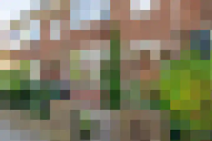 Houtlaan 17 Leiden thumbnail 4