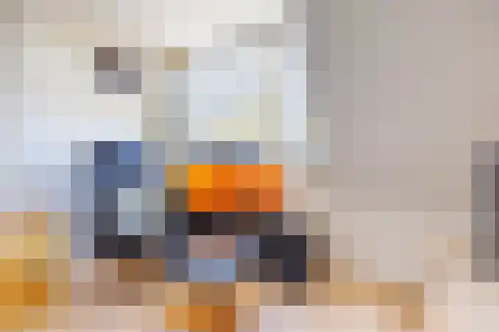 Houtlaan 17 Leiden thumbnail 48
