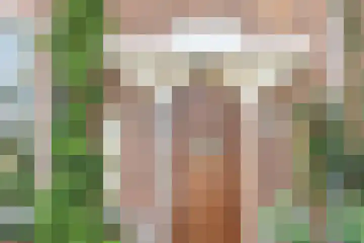Houtlaan 17 Leiden thumbnail 5