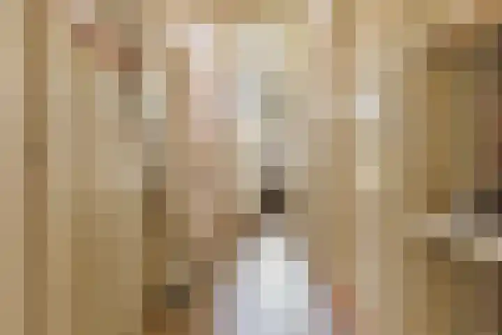 Houtlaan 17 Leiden thumbnail 56