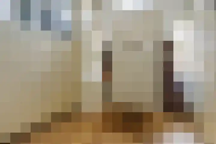 Houtlaan 17 Leiden thumbnail 57