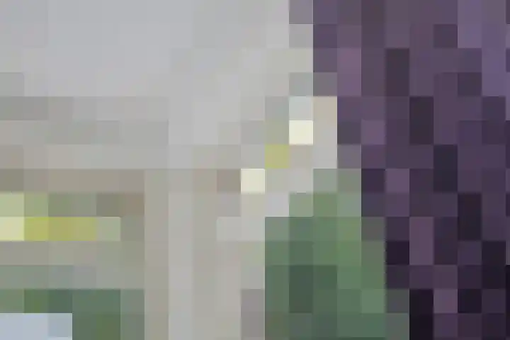 Houtlaan 6 Assen thumbnail 12