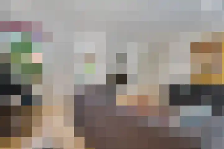 Houtlaan 6 Assen thumbnail 13