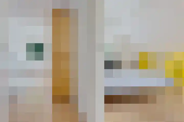 Houtlaan 6 Assen thumbnail 24