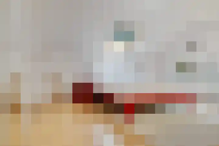Houtlaan 6 Assen thumbnail 28