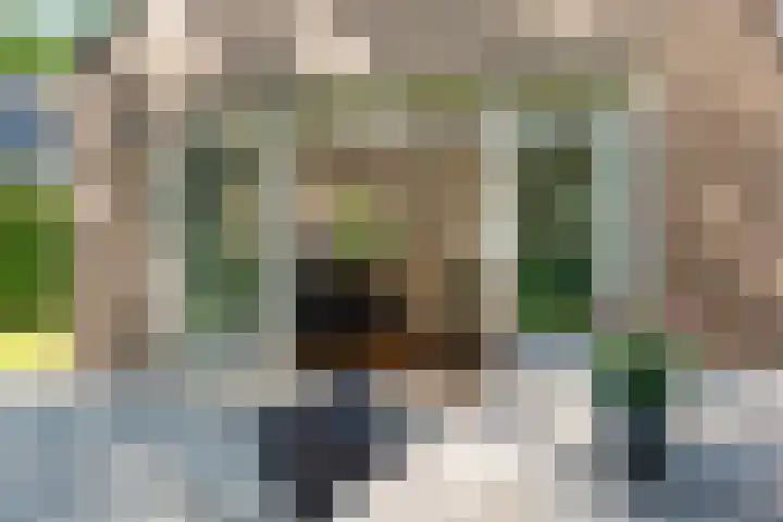 Houtlaan 6 Assen thumbnail 36