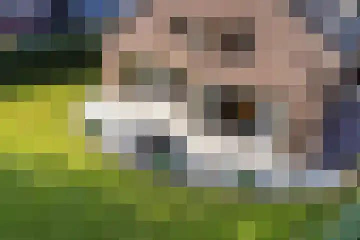 Houtlaan 6 Assen thumbnail 37