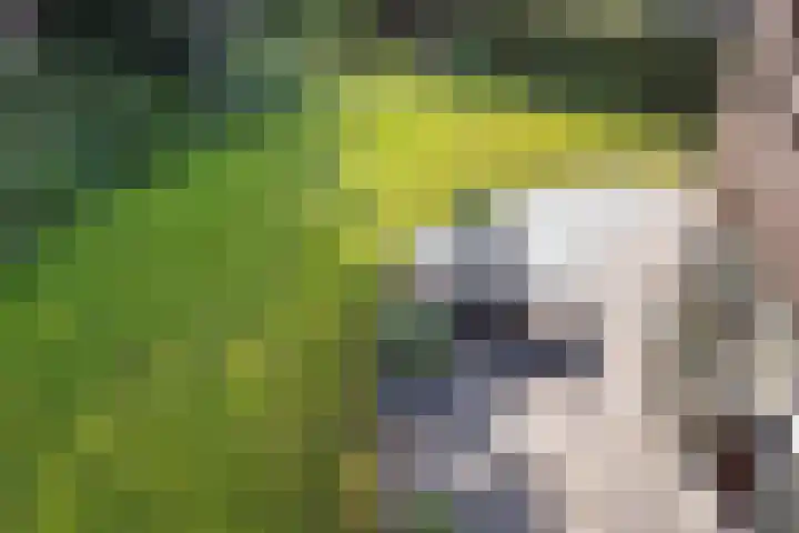 Houtlaan 6 Assen thumbnail 39