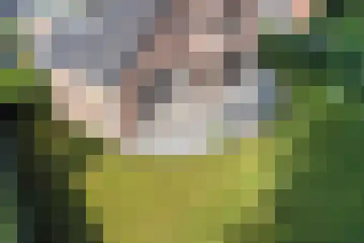 Houtlaan 6 Assen thumbnail 40