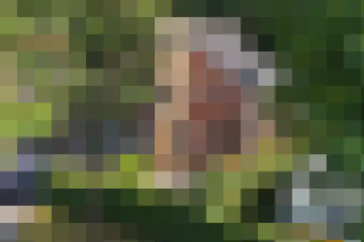 Houtlaan 6 Assen thumbnail 44