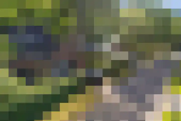 Houtlaan 6 Assen thumbnail 45